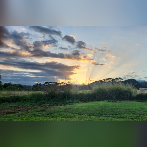 Hello! - Picture 2 of 4